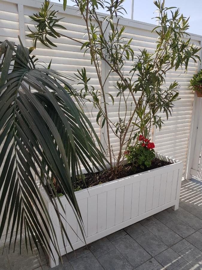 Citrus Boutique Hotel Baku Bagian luar foto